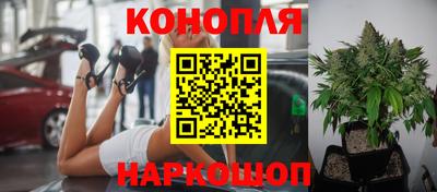 каннабис Кингисепп