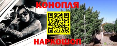индика Кинель
