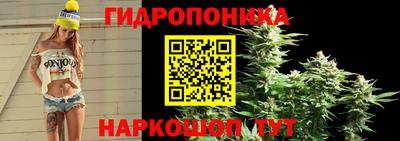 Альфа ПВП Кимры