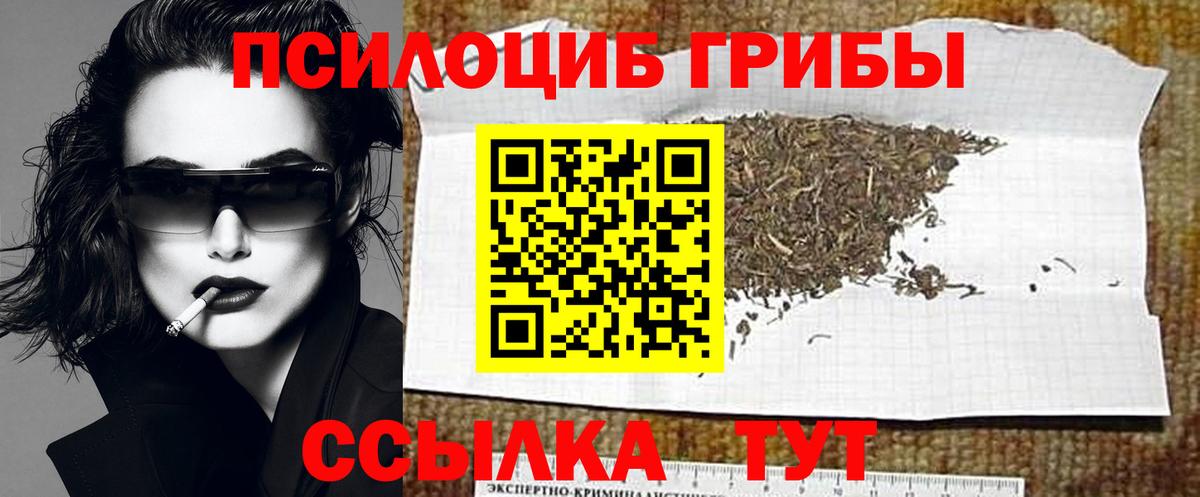 Псилоцибиновые грибы MAGIC MUSHROOMS  Псилоцибиновые грибы Psilocybe  Котовск  Вход с VPN 